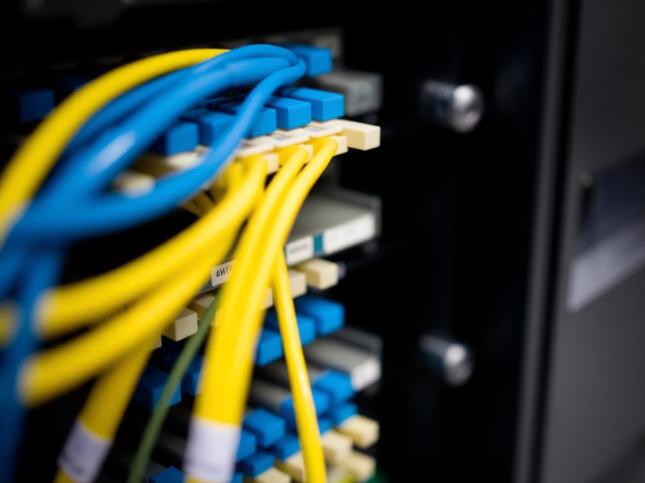 Labelled fibre patch panel with dressed patch leads
